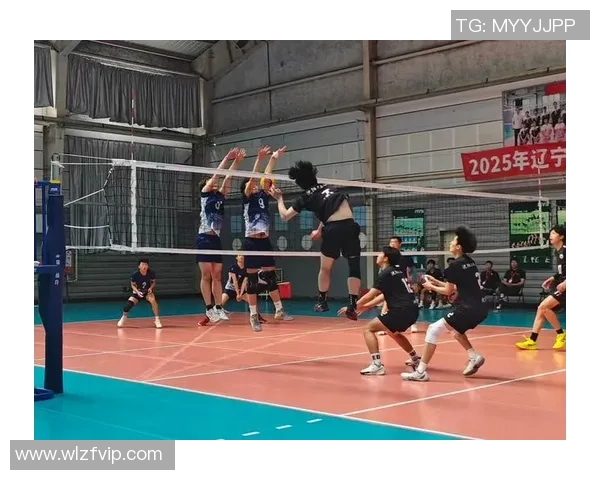 广州排球队挑战赛表现分析与状态评估探讨